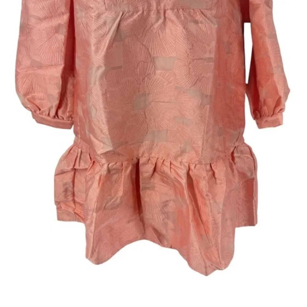 Tuckernuck NEW Bellini Fil Coupe Pink Drop Waist Long Sleeve Palmerston Dress S - Picture 6 of 11